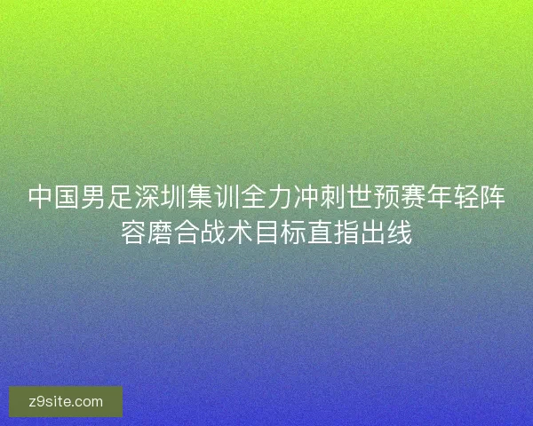 中国男足深圳集训全力冲刺世预赛年轻阵容磨合战术目标直指出线